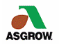 Sementi Asgrow